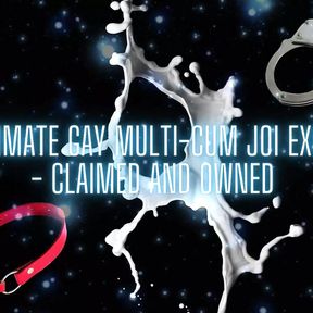 The Ultimate Gay Multi-cum JOI Experience - Claimed and Owned (cumshot 3)