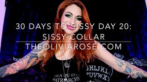 30 Days To Sissy Day 20: Sissy Collar