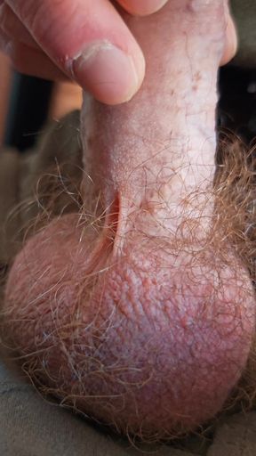 My dick from the fly