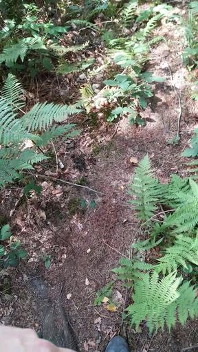 Quick jerk and cumshot in the woods