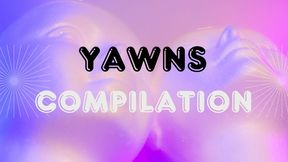 Yawns Compilation