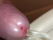 close up uncutted foreskin morning pee