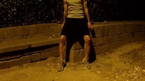 Crusing in a Public Park at Night - Getting Naked