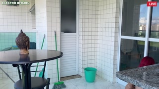 Dia 18 #voyeur - She uses these shorts to tease me