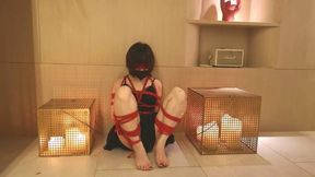 BC06-Bondage Games in a Luxury Villa: Multiple Restraint Styles and Vibrator-Induced Orgasm