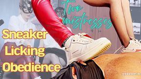 Sneaker Licking Obedience