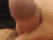 Jza busca casarse solo con suecas, danesas, inglesas, irlandesas, alemanas, francesas,