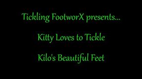 Kitty Loves to Tickle Kilos Beautiful Feet