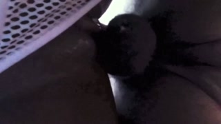 Black Wet Cum Filled Pussy