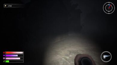 She moaned when I stuffed her in the abandoned mansion