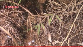 safado batendo punheta na fazenda ao ar livre
