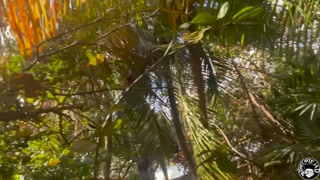 lil d klaps Valerie kay on a jetski