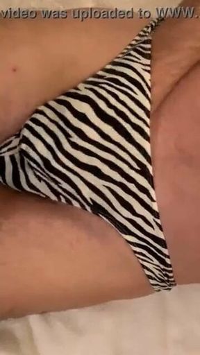 Stroking cock in GF Zebra Panty