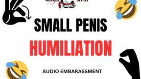 Small Penis loser humiliation audio with Mistress Deville