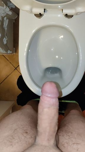 Toilet Edge pt.2