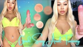 Good Sissy Anal Training