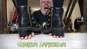 LADY SCARLET - CRUSHING AMPHIBIANS hd