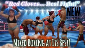 CATA “Red Gloves Showdown – Intense Mixed Boxing Battle. new