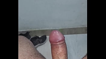 Pau de a&ccedil_&uacute_car