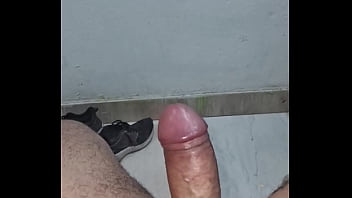 Pau de a&ccedil_&uacute_car