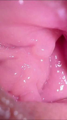 She has exquisite vaginal gapes and I filmed them close up   Clip 1