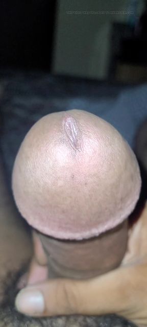 Cut Muslim Dick (Lund)