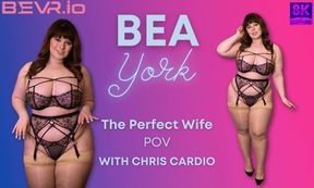 The Perfect Wife
