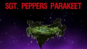 Sgt. Peppers Parakeet