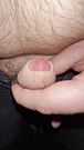 Close-up of a small wet penis that is about to ejaculate