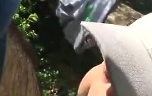 Bear cruising in the woods