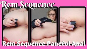 Rem Sequence Painful Anal WMV