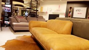 Risky Public Fun and Sex - risky play in furniture store with a fluffy Teddy