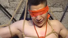Horny Sex Clip Gay Hd Crazy Unique