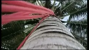 Hot babe with big natural boobs sucks and rides cock in the garden