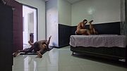 Whenever people visit my home, they want to have sex and be filmed.