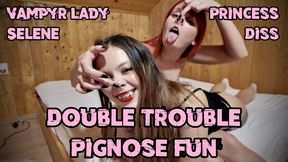 Double Trouble Pignose Fun