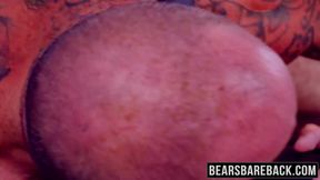 Great compilation of bears fucking hard with their mates