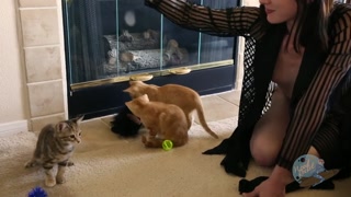 Stoya Plays with Kittens
