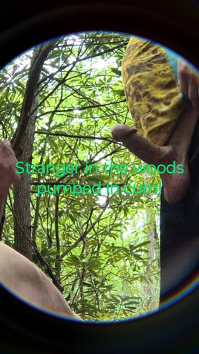 Bended This Stranger Over in the Woods Tree Covered