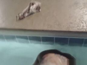 Pretty amateur girl getting sexy in the pool