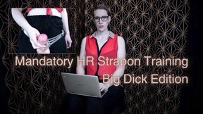 Mandatory HR Strapon Training: Big Dick Edition