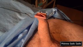 A beautiful needle art on an ugly cock, cbt at it's finest