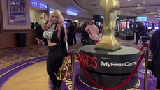 AVN 2019