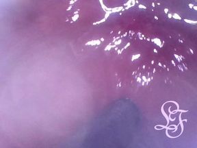 I love looking INSIDE my ass