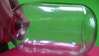 High Quality Sperm for a Laboratory