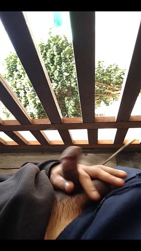Morning Day Saturday