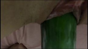 tight pussy gets stretched by big cucumber - latinos puercos