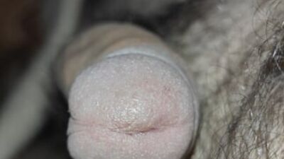 Jerk off - jerk off - jerk off. A lot of urine on my hairy body!