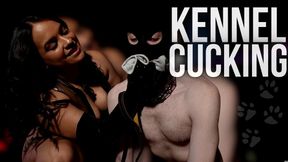 Kennel Cucking