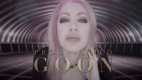Programmed Goon 4K